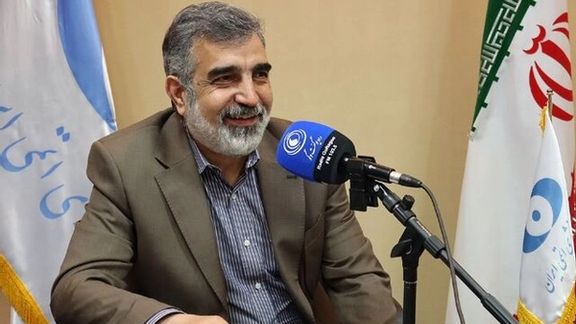 سخنگوی سازمان انرژی اتمی: تحریم «رادیو دارو» به نفع ایران تمام شد