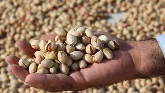 در آستانه شب یلدا؛ قیمت پسته به کیلویی ۳۴۰ هزار تومان رسید