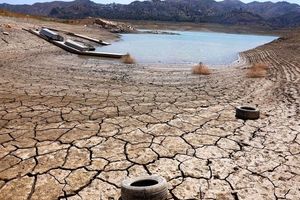 Northern Iran’s wetlands face collapse as migratory birds disappear