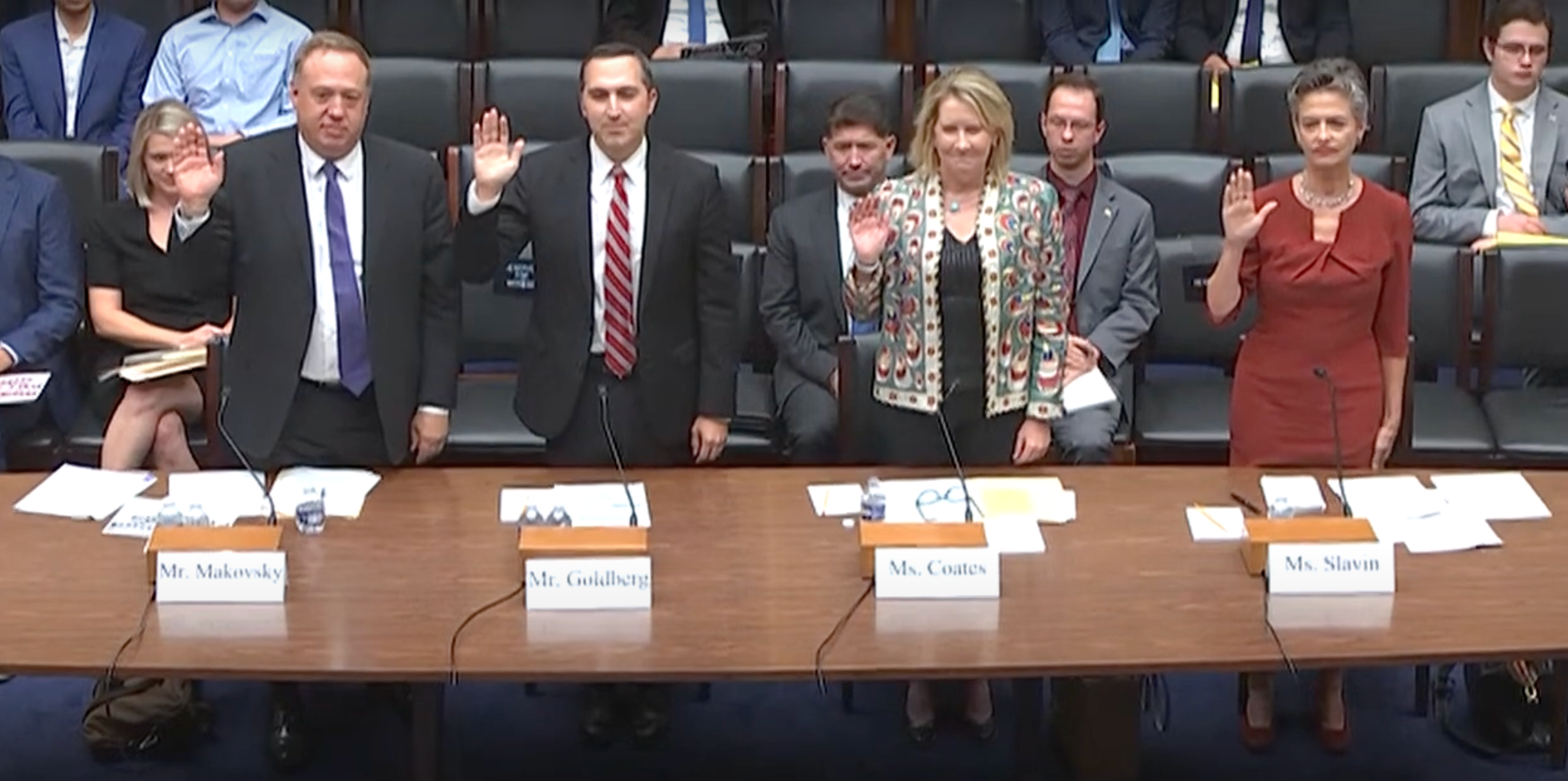 Expert witnesses at the session of the Subcommittee on National Security, the Border, and Foreign Affairs titled A Dangerous Strategy: Examining the Biden Administration’s Failures on Iran on September 13, 2023 