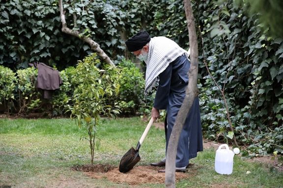 In Symbolic Act Khamenei Plants A Tree Amid Environmental Crisis