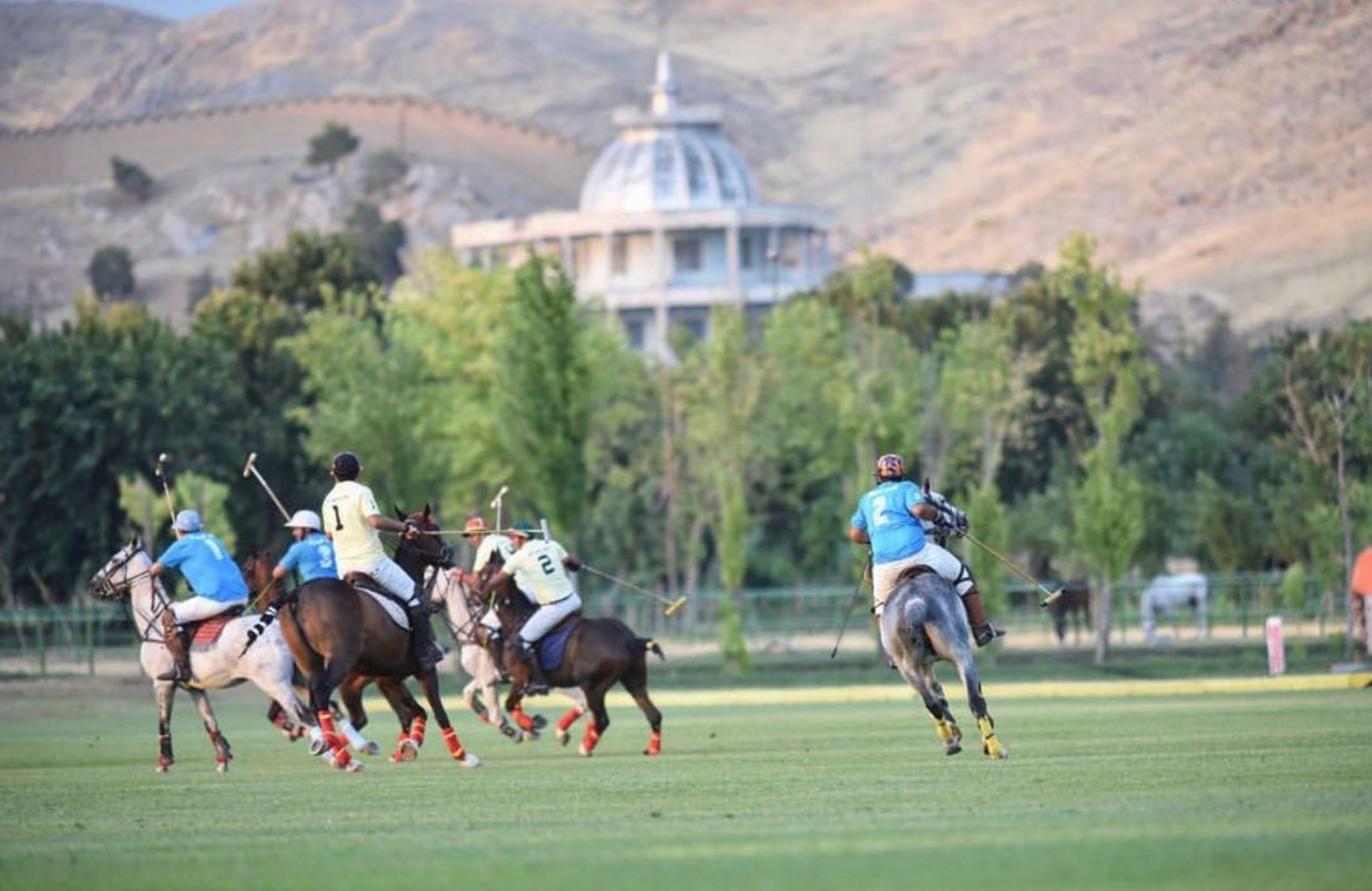 پاسخ دولتی به مسمومیت اسب‌ها در قصرفیروزه؛ علوفه مرغوب بود، وگرنه ۲۷۰ اسب مسموم می‌شدند  