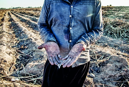 برگزاری اولین روز تجمع اعتراضی در هفت‌تپه؛ حمایت کارگران ۱۰ کشور از خیزش انقلابی در ایران