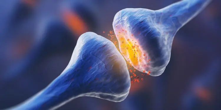 انجام تحقیقات جدید درباره آنتی‌بیوتیکی که آثار سوءمصرف مواد را کاهش می‌دهد