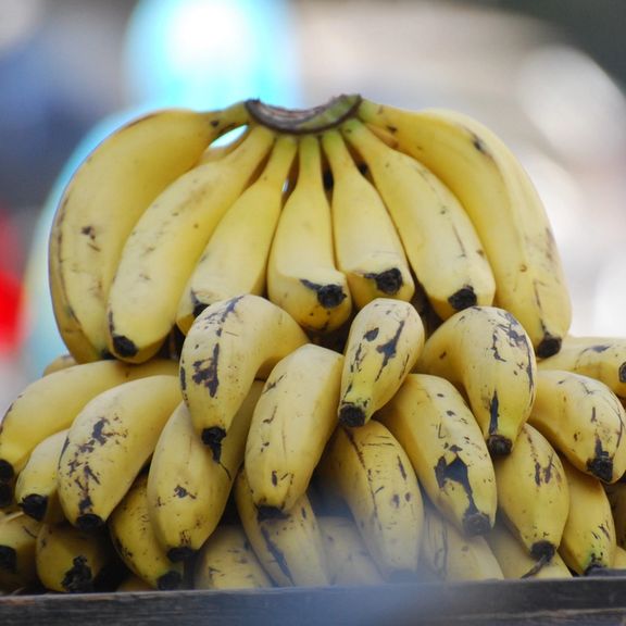 ترکیه ۷ پناهجوی سوری را به خاطر انتشار تصویر موز خوردن در رسانههای اجتماعی اخراج میکند