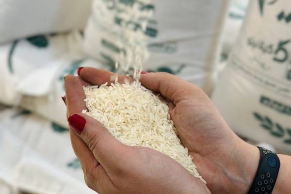 وزیر جهاد کشاورزی از حذف ارز ترجیحی واردات برنج خبر داد