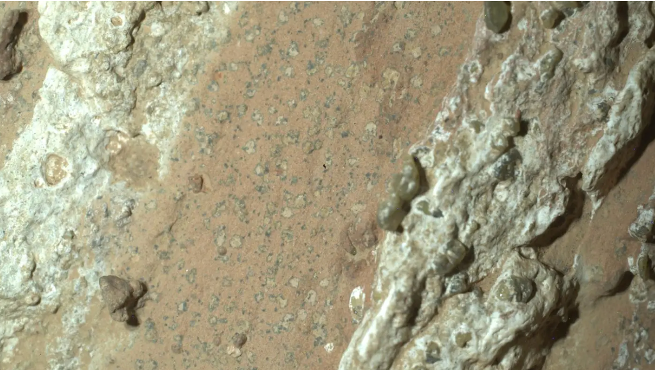 ناسا از کشف احتمال وجود نشانه‌های زیستی در مریخ خبر داد