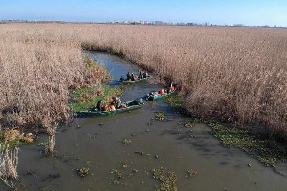 استاندار گیلان: عمق تالاب انزلی از ۱۰ متر به ۲۰ سانتی‌متر رسیده است