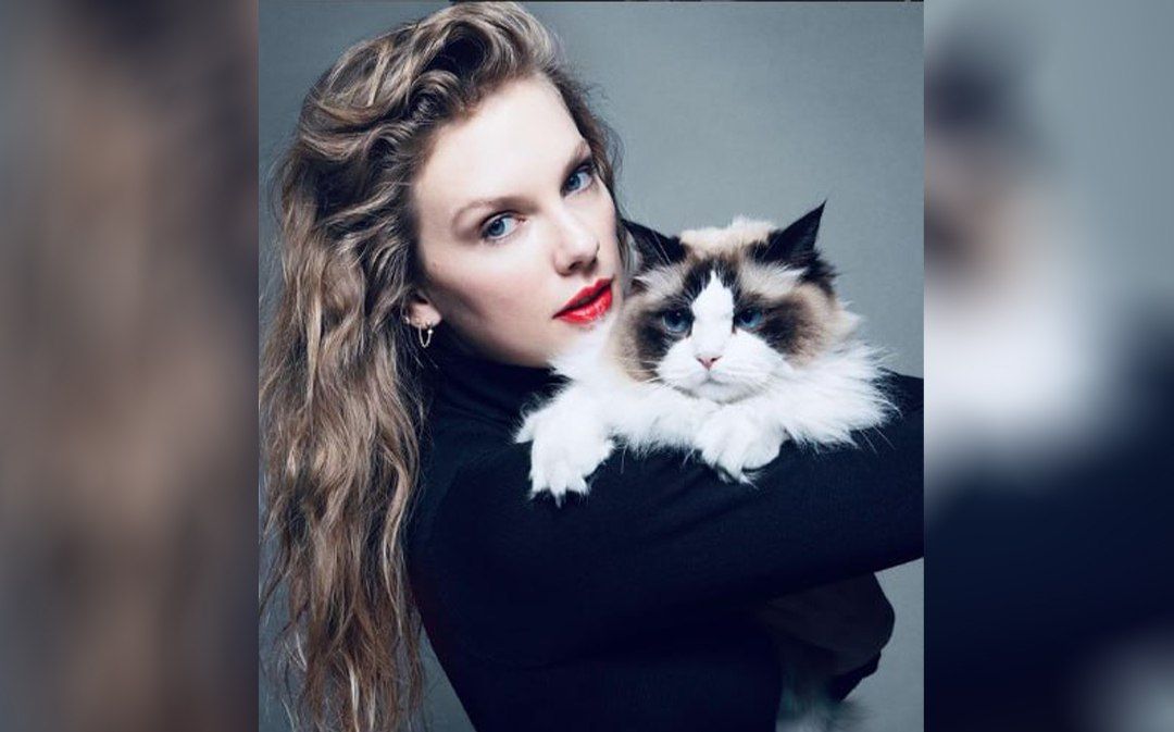 حمایت تیلور سوئیفت از کامالا هریس چگونه بر انتخابات ریاست‌جمهوری آمریکا تاثیر می‌گذارد