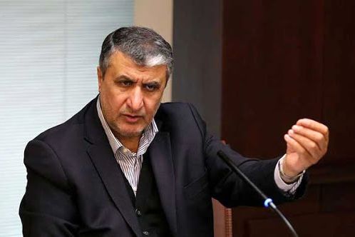 رییس سازمان انرژی اتمی ایران: اگر تعداد کمی از بازرسان آژانس را رد کنیم، حقمان است