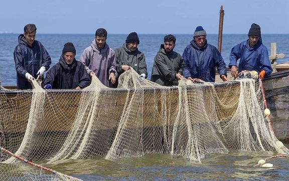 اتحادیه ماهیان سردآبی: بهعلت قیمت پایین ماهی در کشور صیادان بخش اعظم صید را صادر میکنند